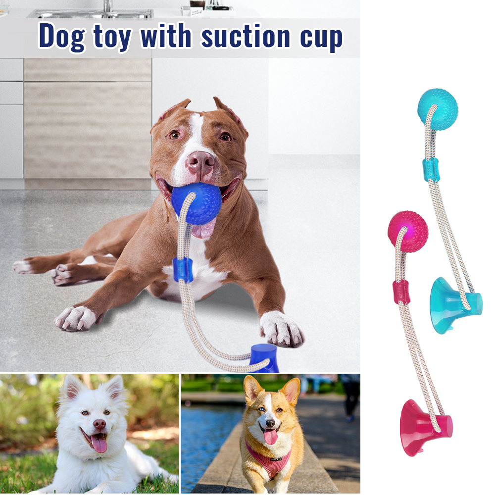 floor suction cup dog toy with ball