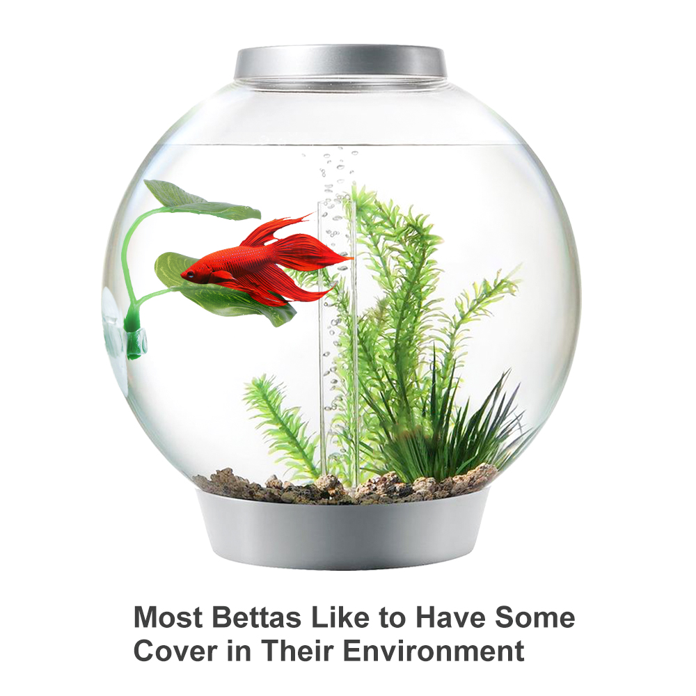 Betta Fish Leaf Pad Aquarium landscape Cup Suction Plastic