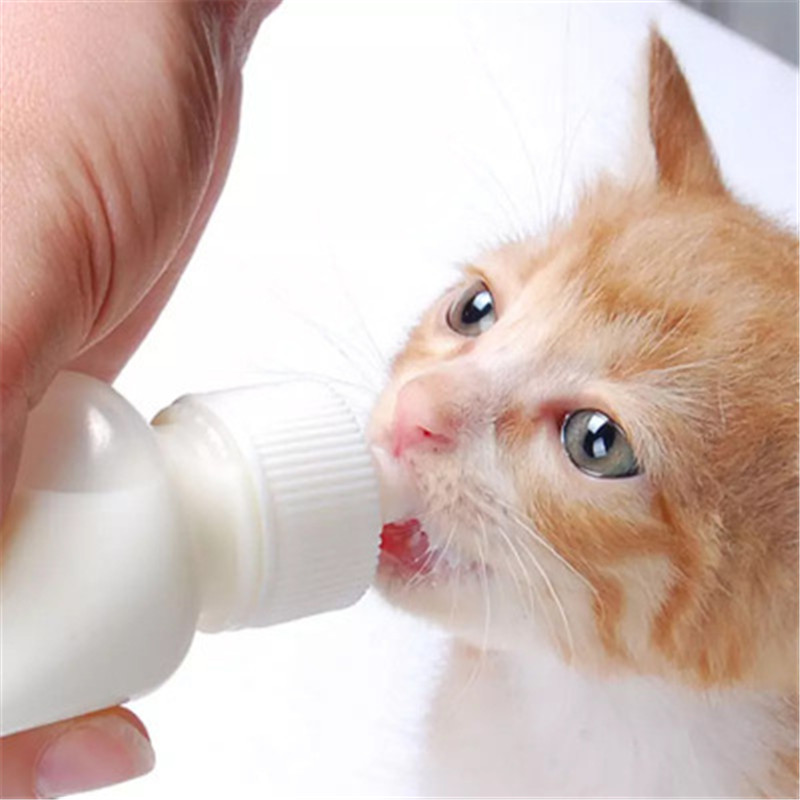 Us Puppy Kitten Feeding Bottle Pet Dog Cat Bady Nursing Water Milk