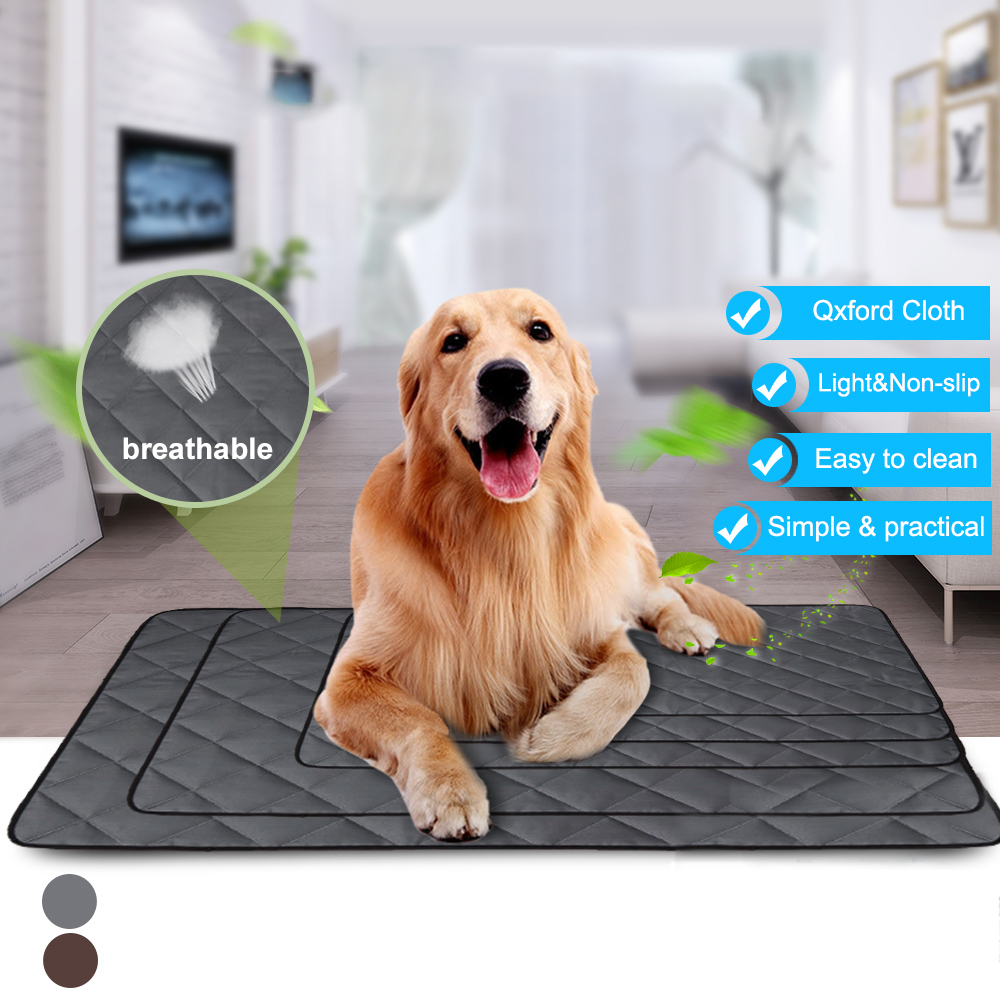 cooling mat for a dog