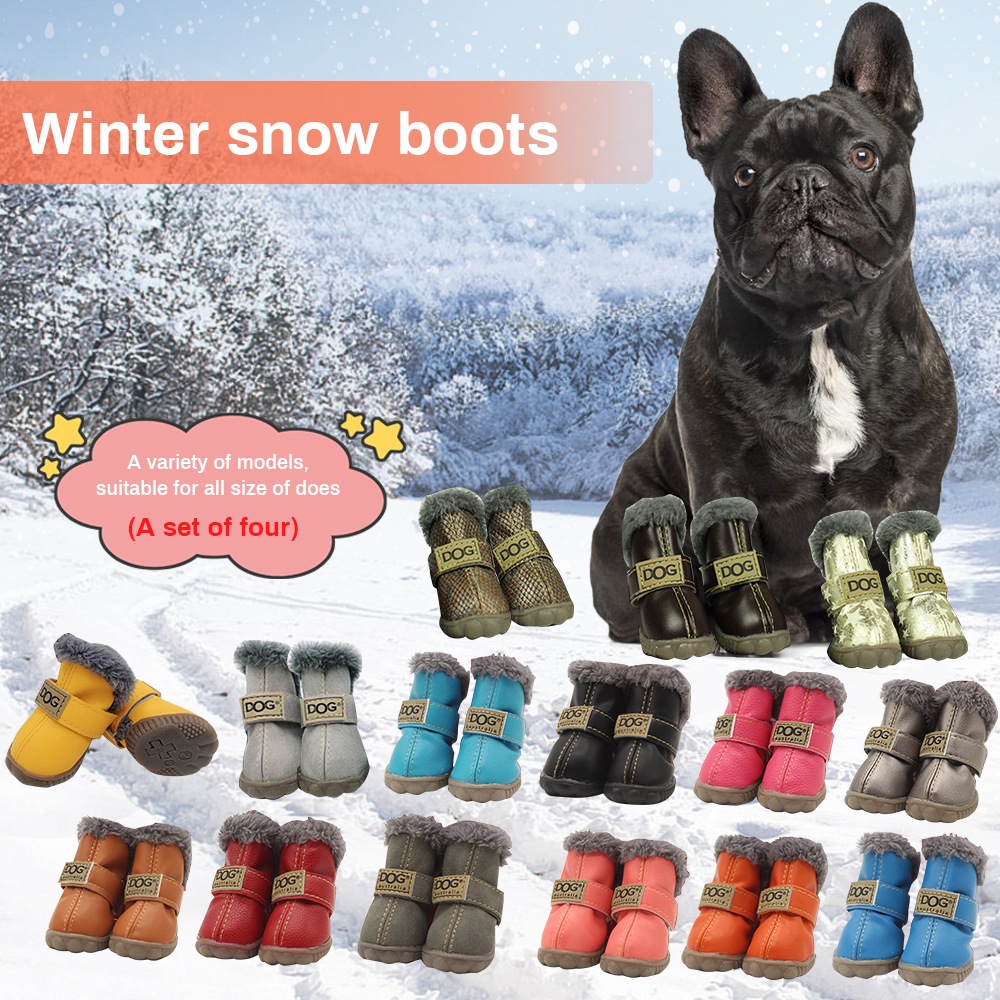 winter shoes for small dogs